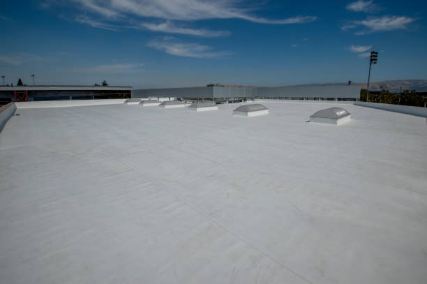 Best Gutter Installation and Repair  in Lake Isabella, CA