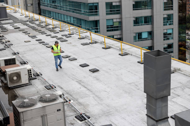 Best Asphalt Shingles Roofing  in Lake Isabella, CA