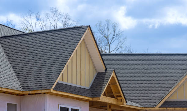 Best Roof Ventilation Installation  in Lake Isabella, CA
