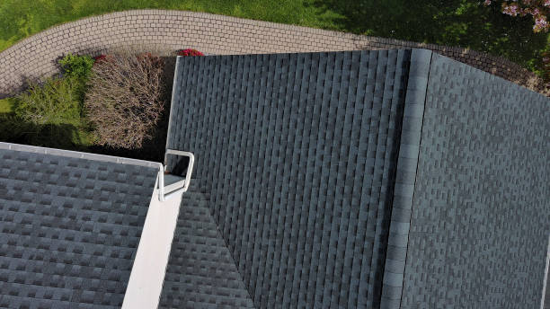 Best Roof Moss and Algae Removal  in Lake Isabella, CA